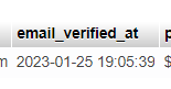 email verified in laravel